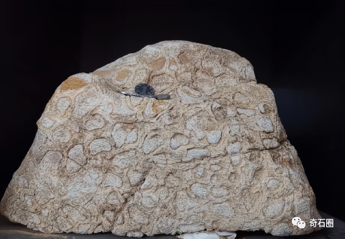 “带窝窝的石头”入围作品展播