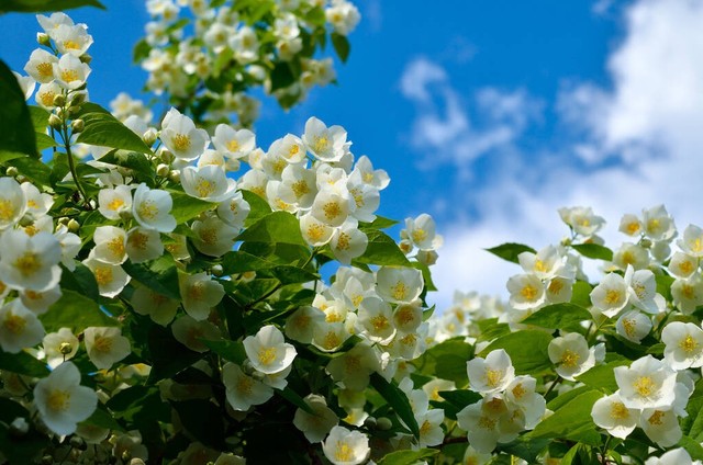 如何用社群要素提升社群质量,社群经济如何利用社群做营销