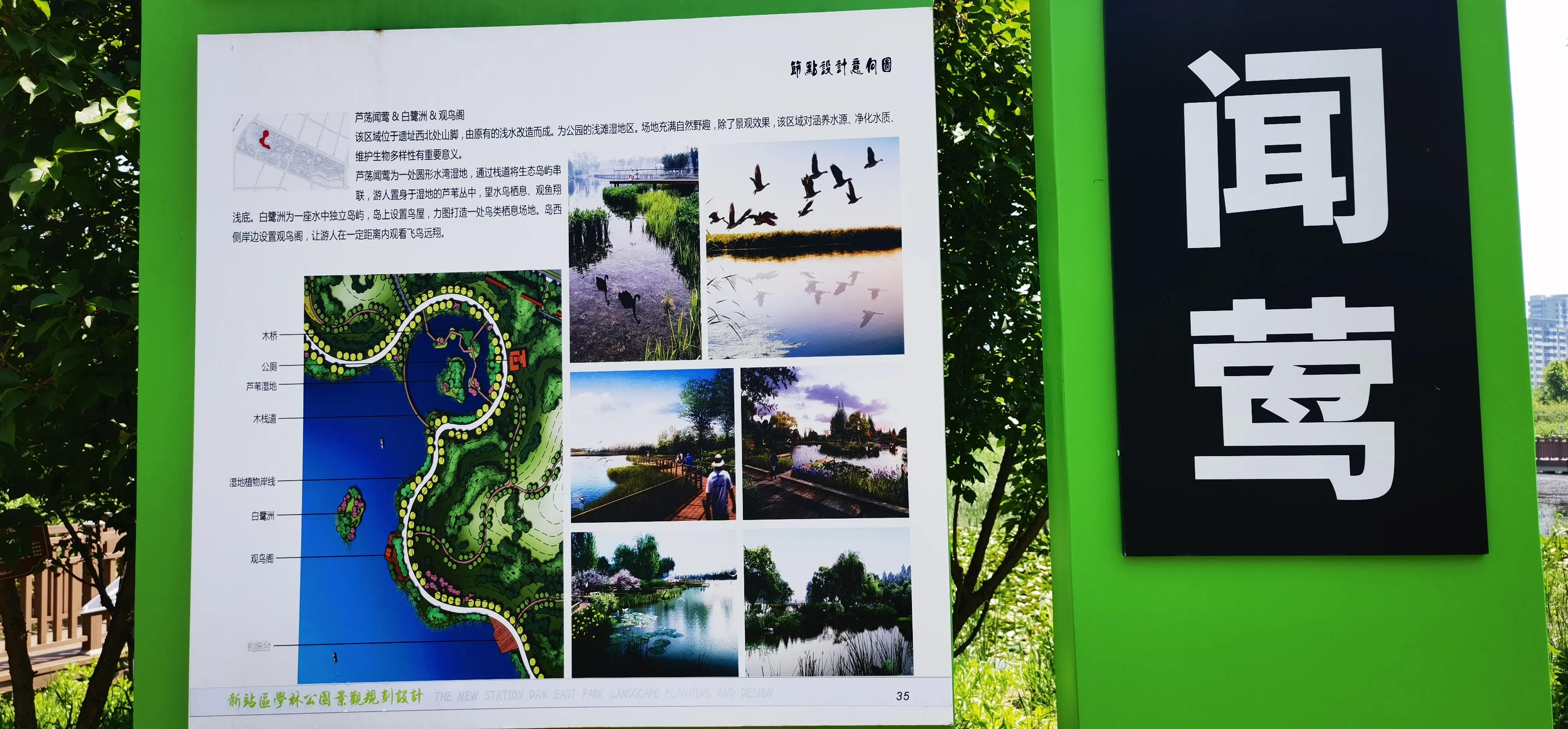 合肥晚上带娃好去处,合肥附近带两个娃去哪里玩