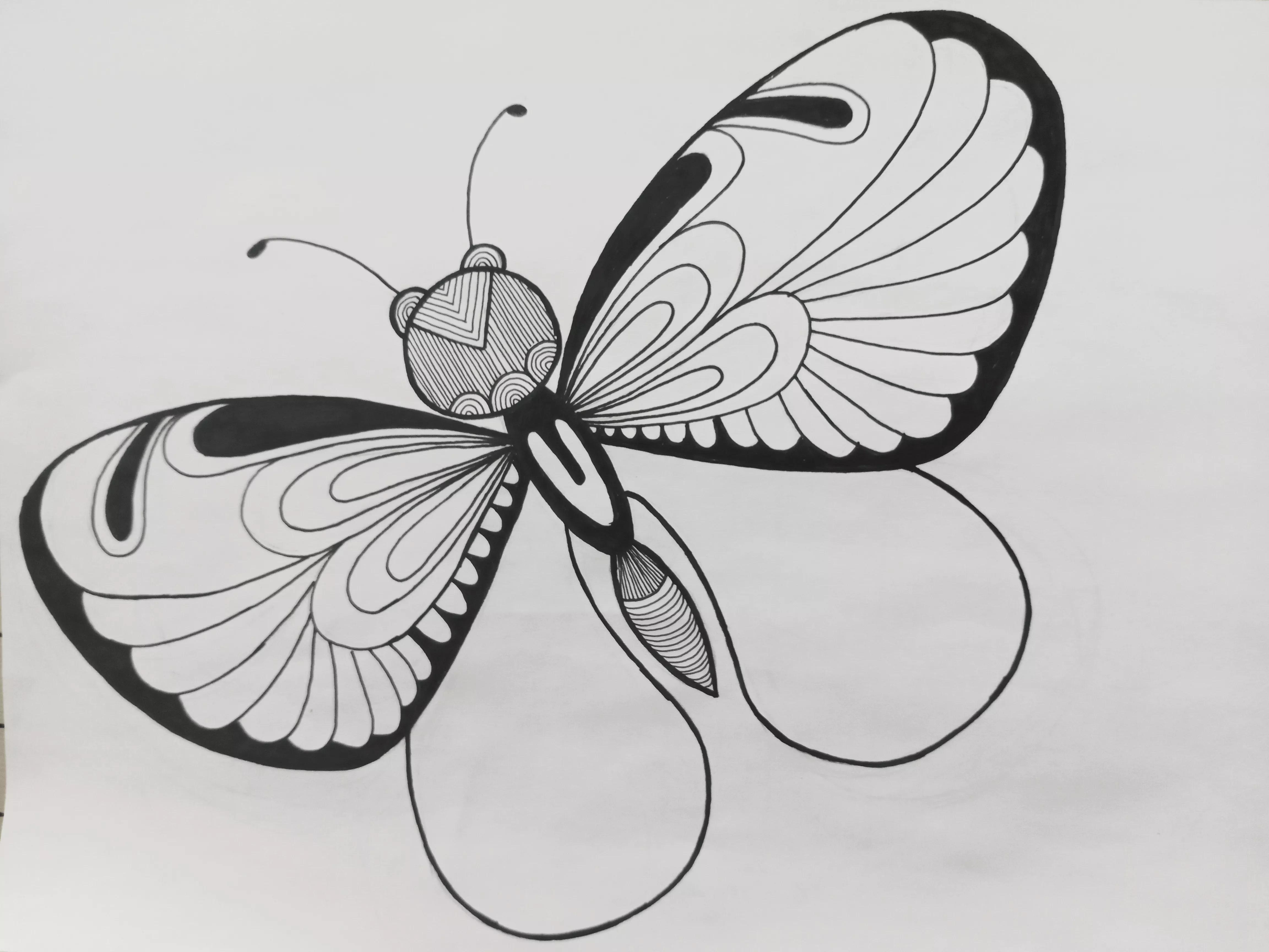 蝴蝶线描画绘画过程,绘画蝴蝶教程线描画