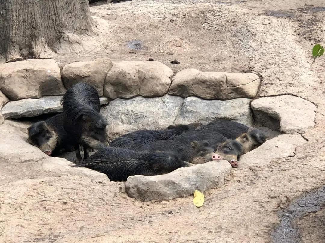 危地马拉的著名风景,危地马拉的首都游玩