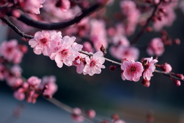 2023最火励志文案,励志文案2023最火