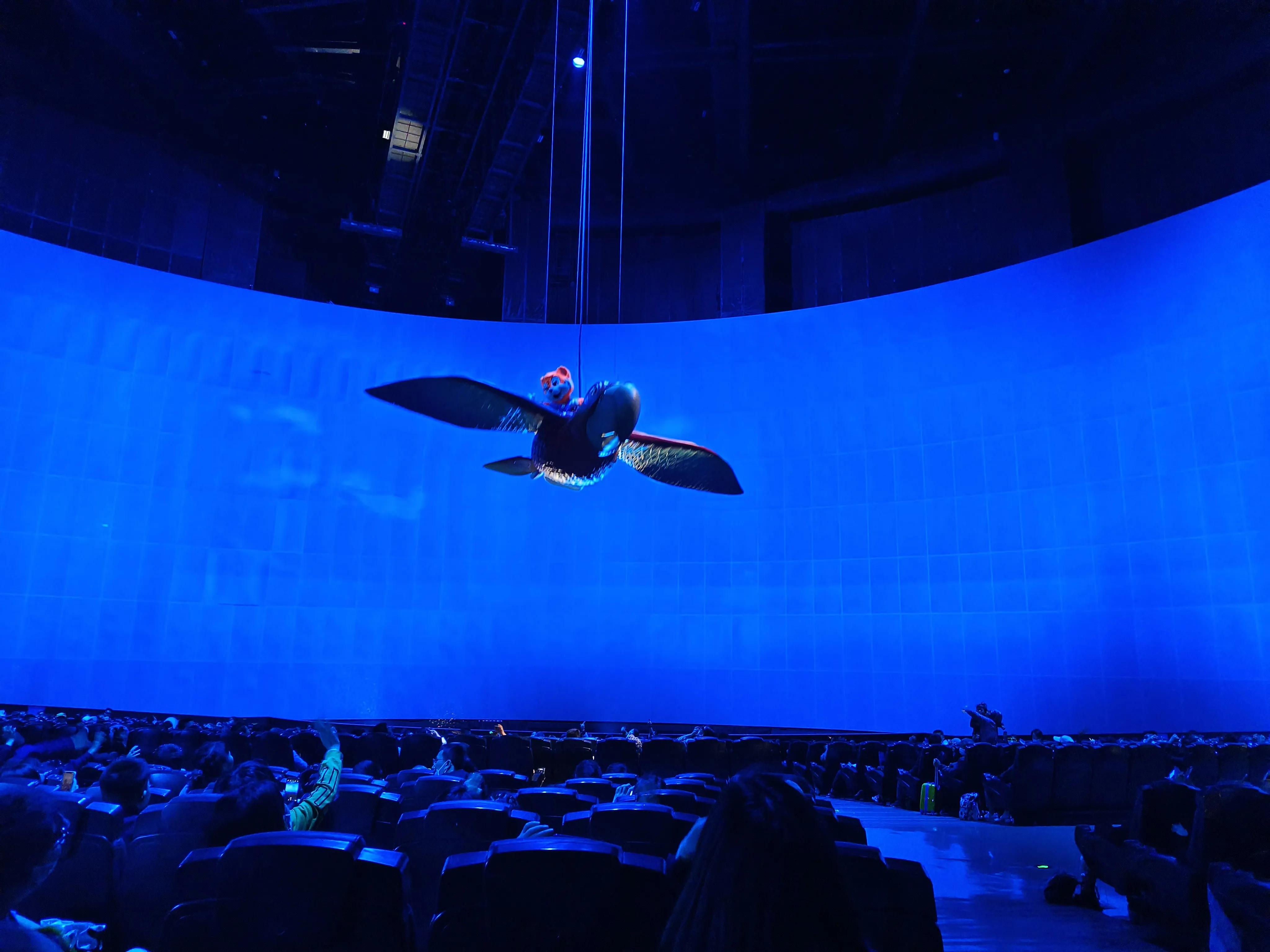 自驾珠海长隆三天两晚,来回700公里只为了学习更多的知识