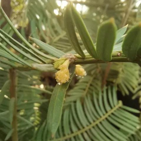 100种迷人的“数字花”,从零到一百万,真是太神奇了