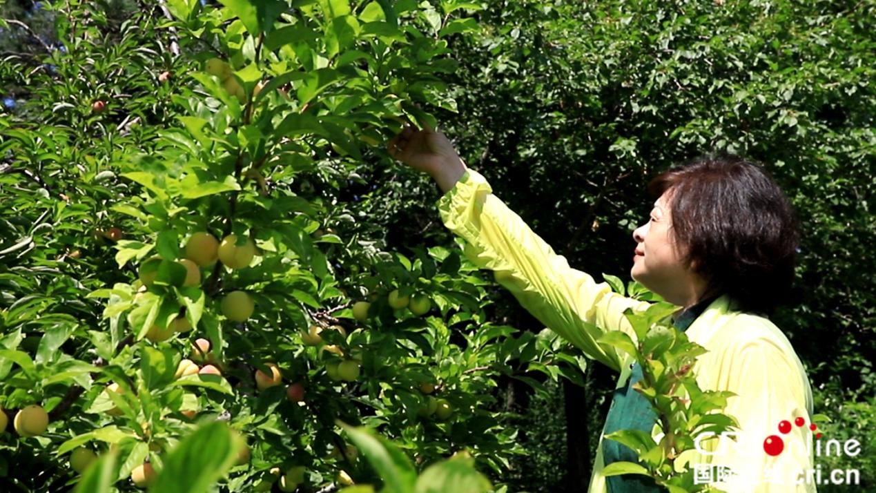 黑龙江省延寿县长寿山风景区,延寿县风景图片