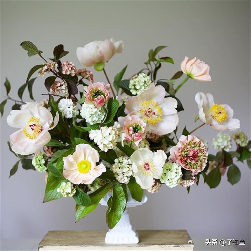 狮子座要恋爱请选这三个星座,身边的异性缘最好的星座