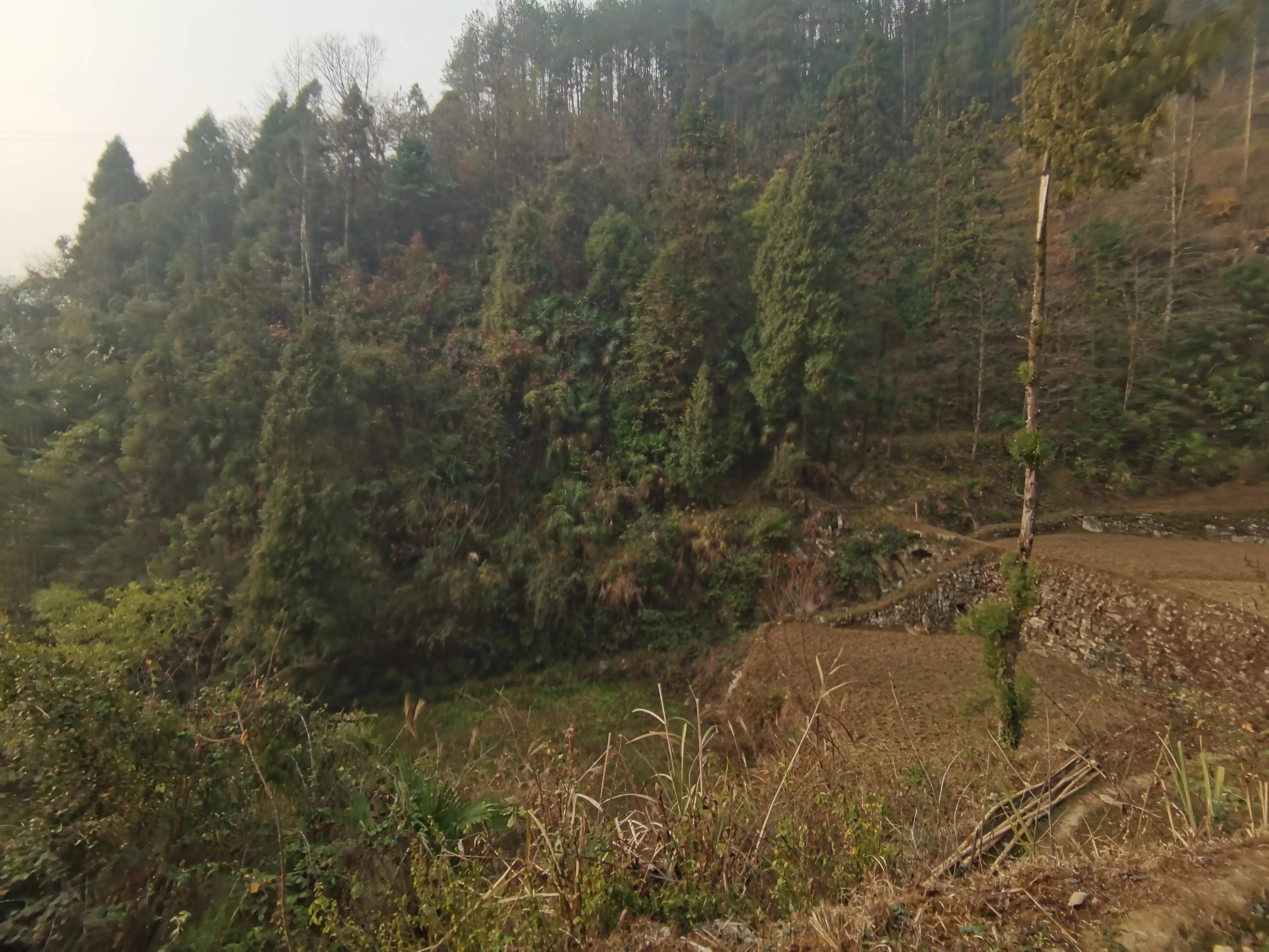 我家后面有座大山,我家后面有一座山用什么符号表示