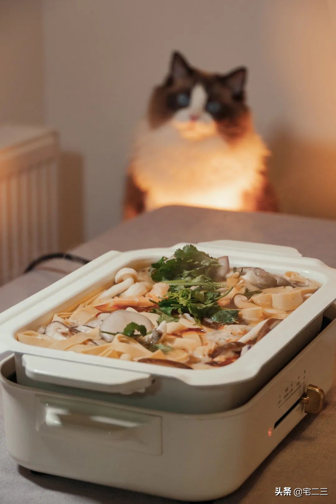 迎接2022年，9位生活达人私藏物公开