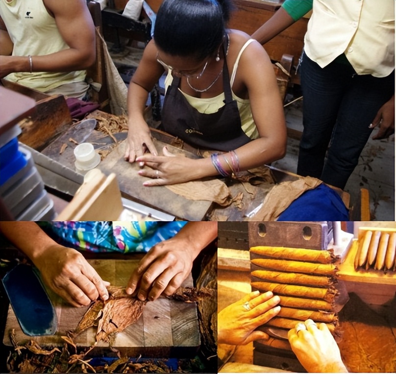 全球no.1顶级雪茄最贵的价格,782万的雪茄