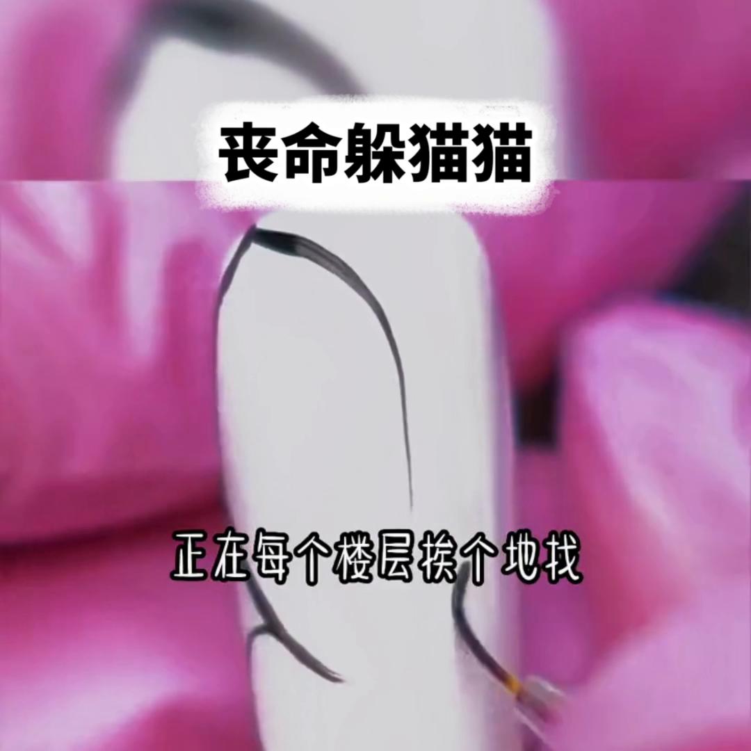 丧命*猫猫躲**@DOU+小助手