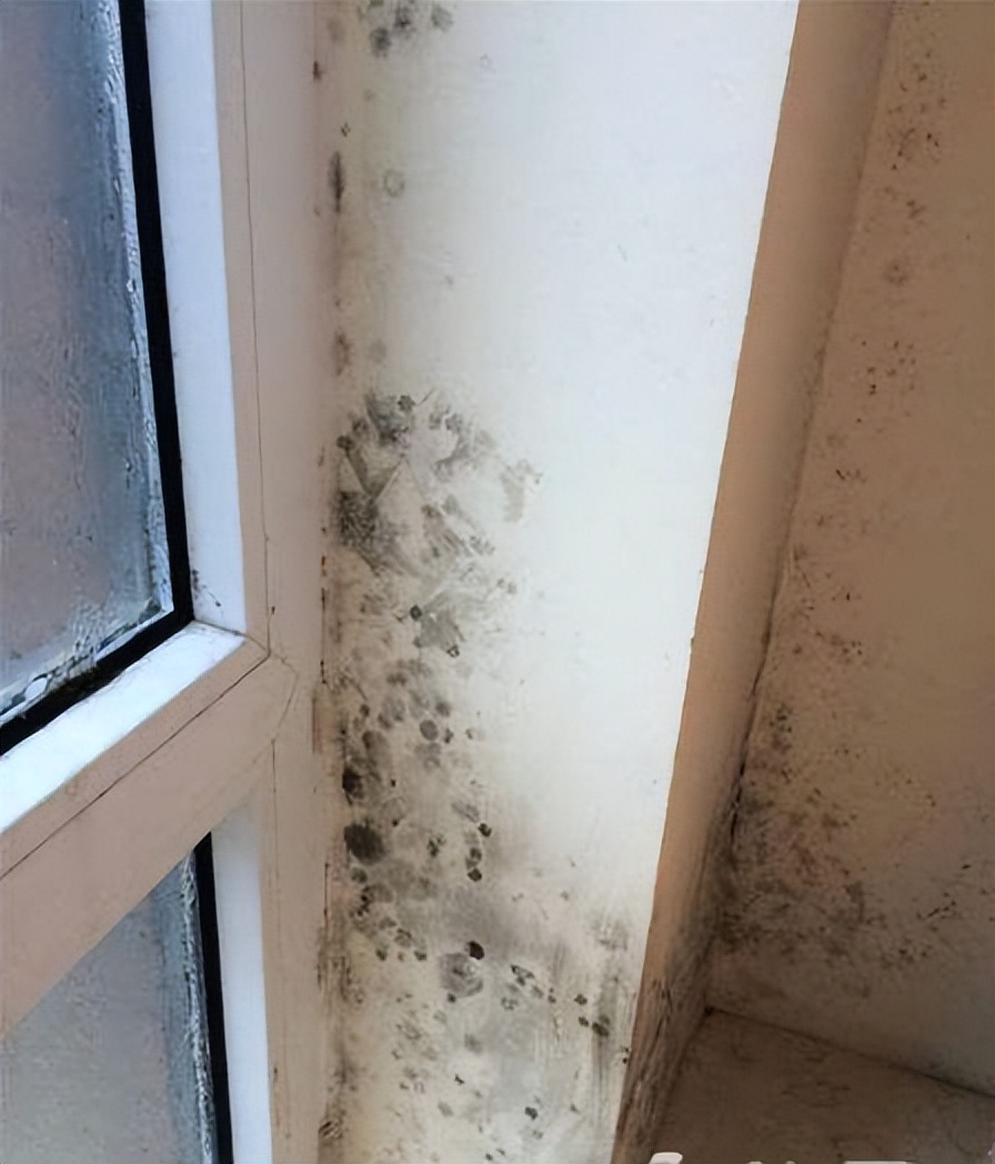 如何让窗户进冷风,窗户怎么才能更通风