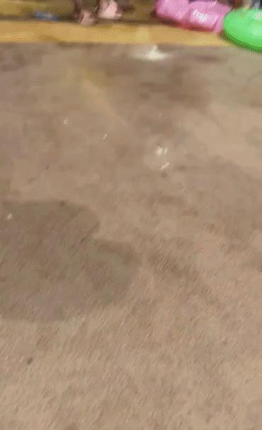 “无意中在女同事车上发现的，这是用来干嘛的？”网友们内涵了