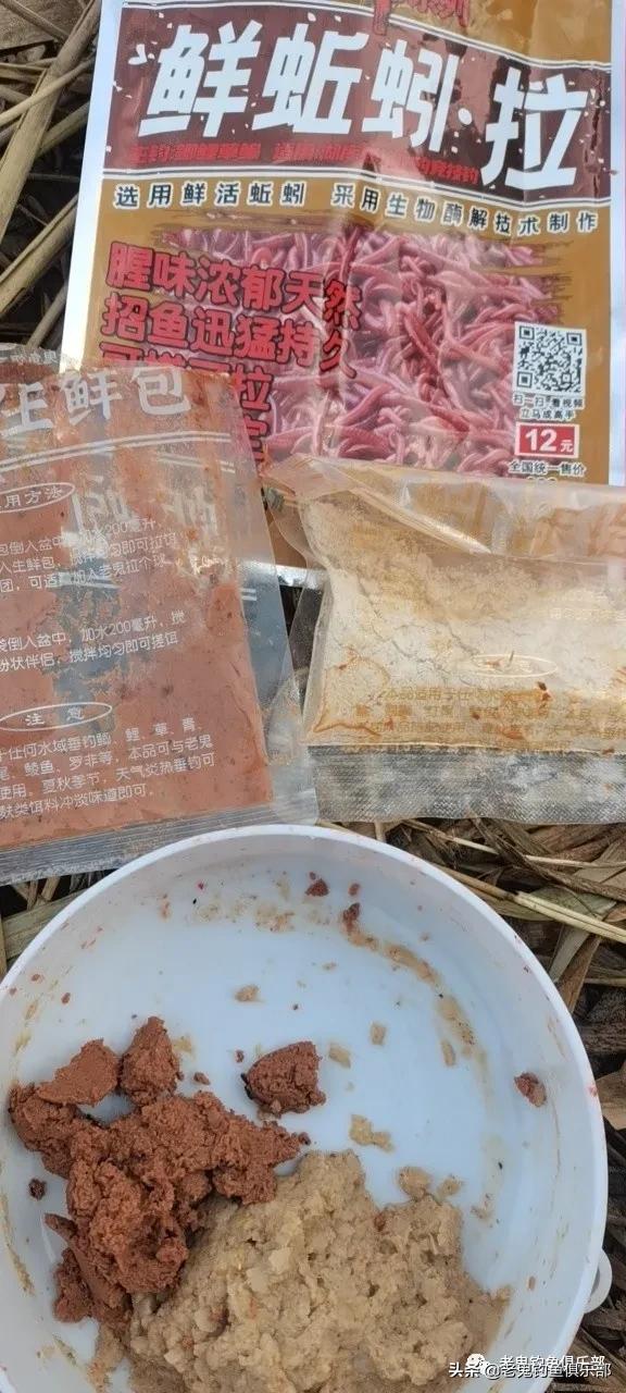 鲜蚯蚓拉饵钓罗非,鲜蚯蚓拉饵效果实测