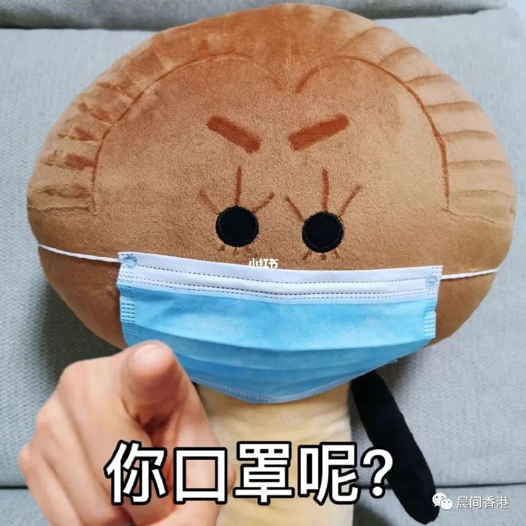 香港封关期,中外人员往来暂行措施评论