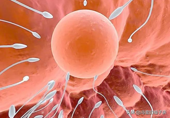 孩子长得像前女友有科学依据吗,孩子长得像老公但不是老公的