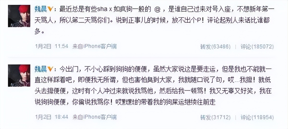 魏晨梗王稳定发挥,新晋梗王魏晨完整版