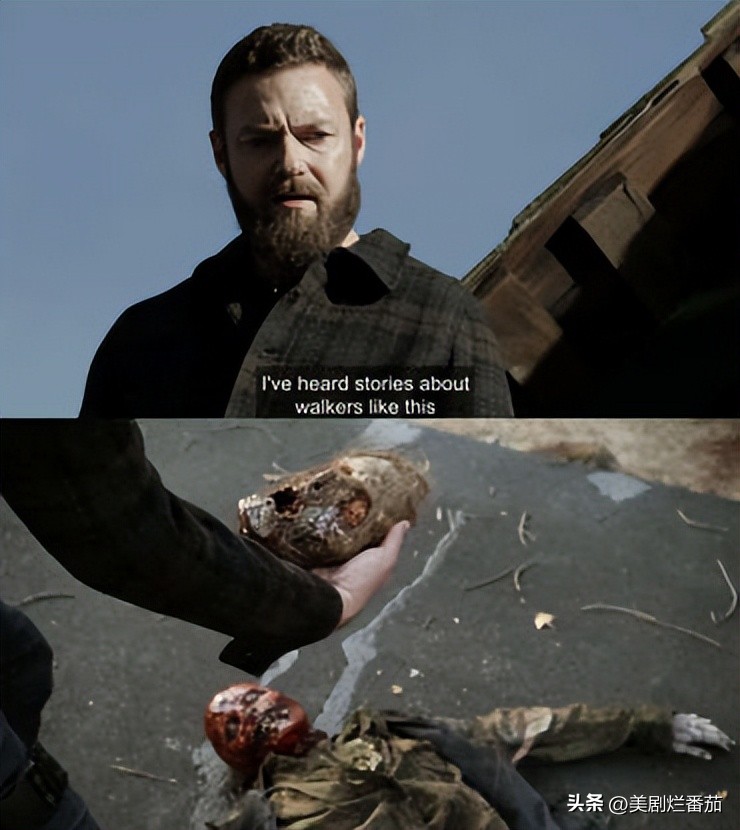 行尸走肉10季全讲解一口气看完,行尸走肉第11集介绍