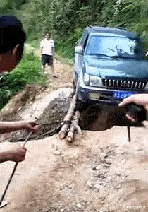 学生适合在宿舍里养的小宠物,在宿舍偷偷养的小宠物