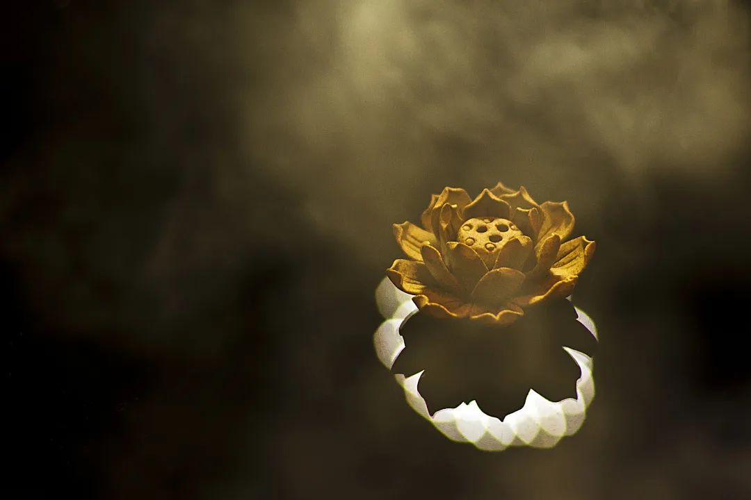 佛教必知小常识,佛教5大冷知识学佛人不可不知