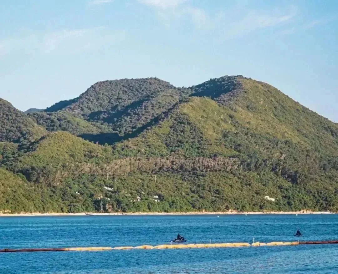 深圳黄金海岸旅游活动攻略,深圳黄金海岸旅游