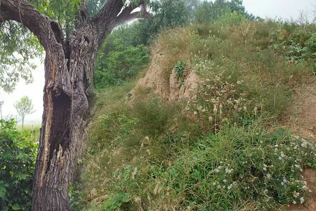 获嘉历史之谜,获嘉古代叫什么