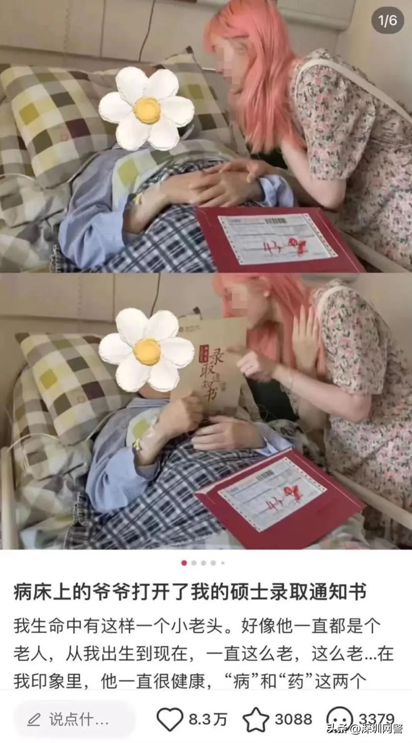 净网2023与网络相关的案件,净网2019解决方法