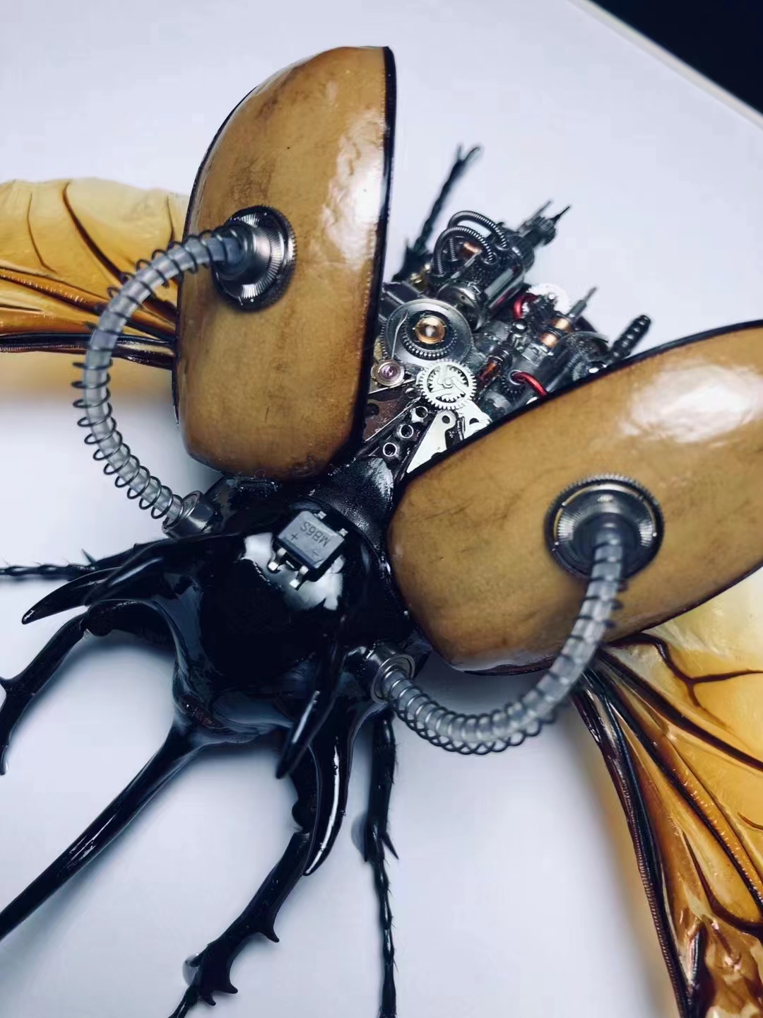 蒸汽朋克蝴蝶标本制作,甲虫标本蒸汽朋克制作