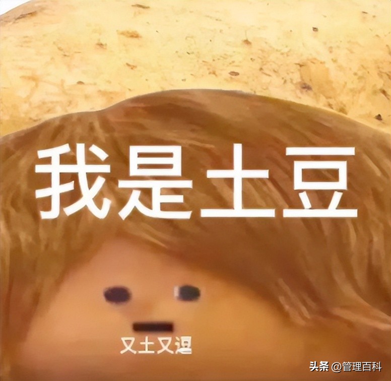 肯德基疯狂星期四为什么那么便宜,肯德基疯狂星期四到底谁更划算