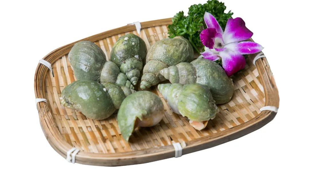 田螺的正确吃法,田螺姑娘