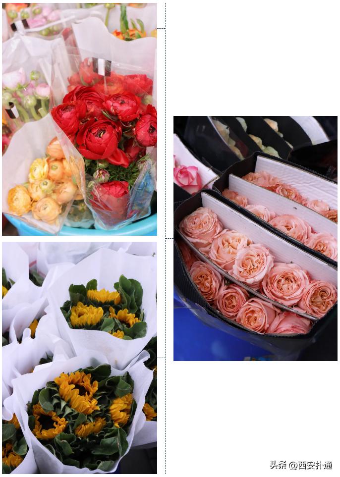 西安情人节去哪比较好,西安买花攻略