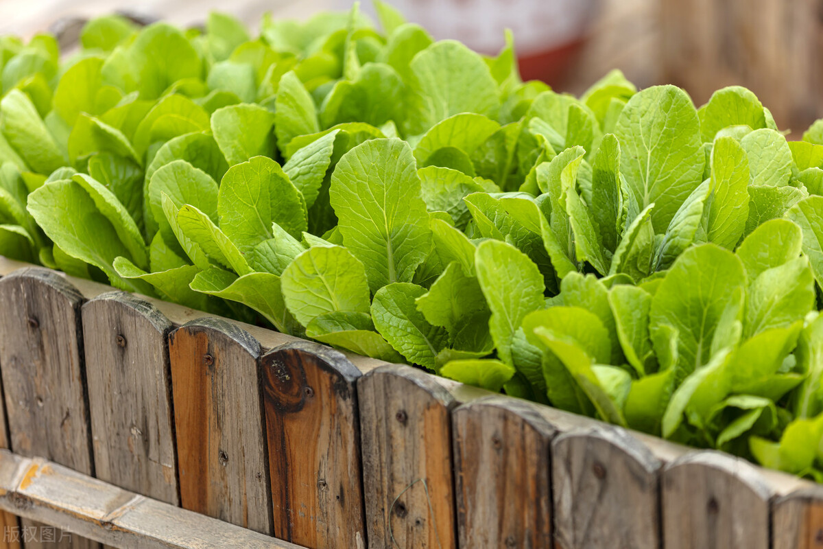 中方制裁美企的手段,中方制裁美企是怎么制裁的