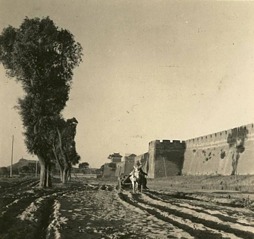 【晚清*楼青***录秘**】媚态撩心，丰乳肥臀，再现女子风姿！