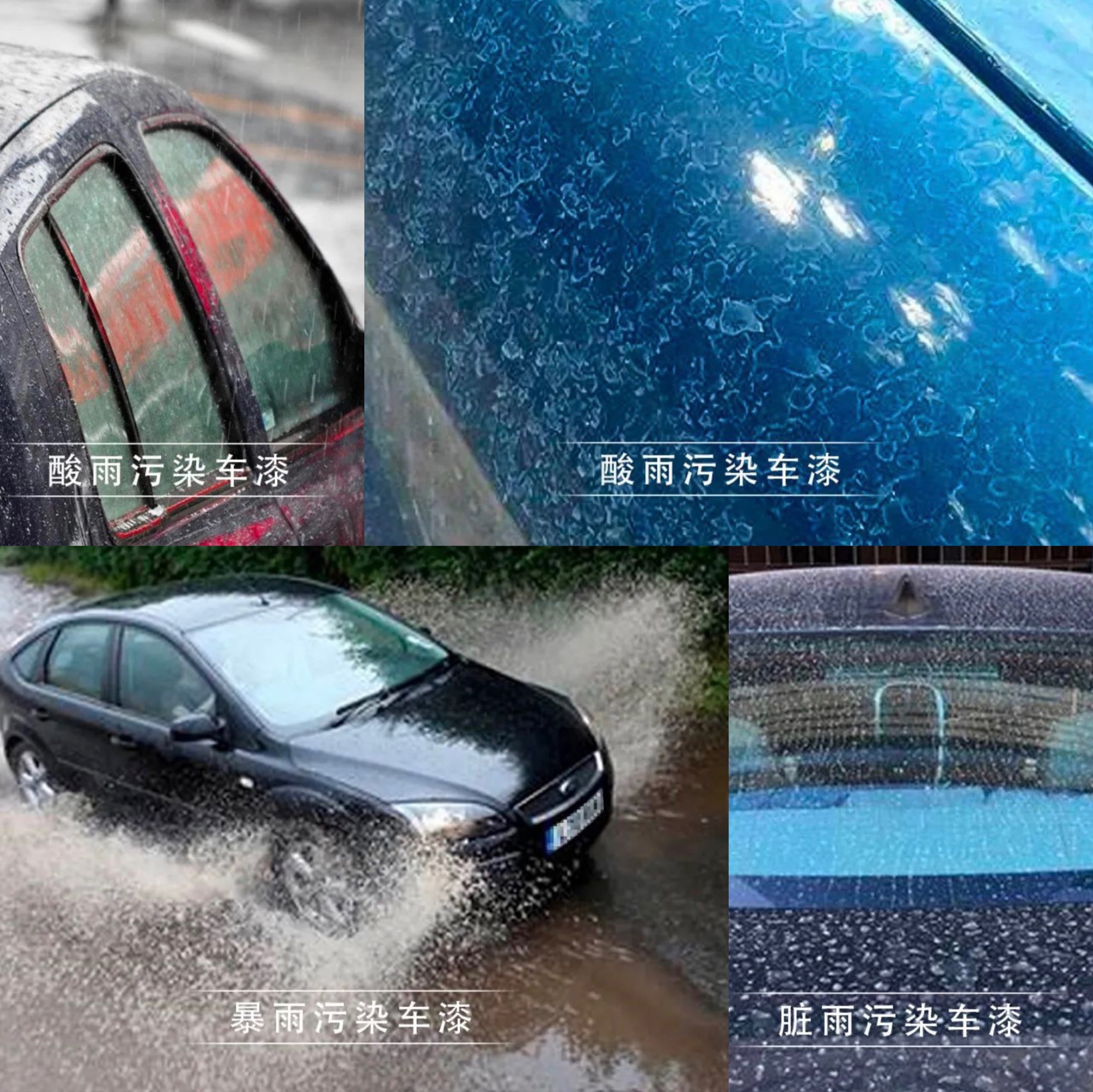 以色列的汽车膜,以色列圣罗隐形车衣多少钱