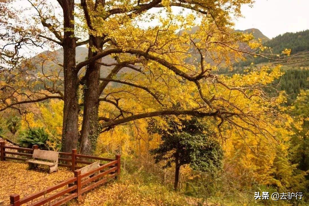 最值得去的10个小众旅游地方,2022年旅游小众地方推荐