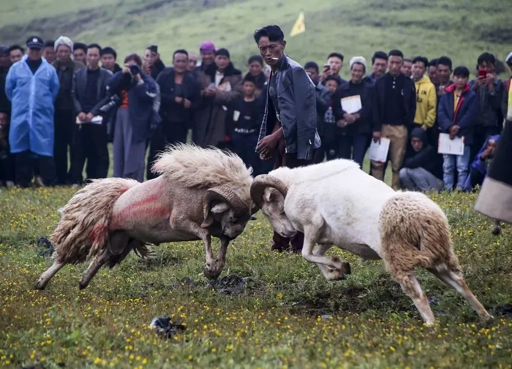 昭觉美姑,美姑路况