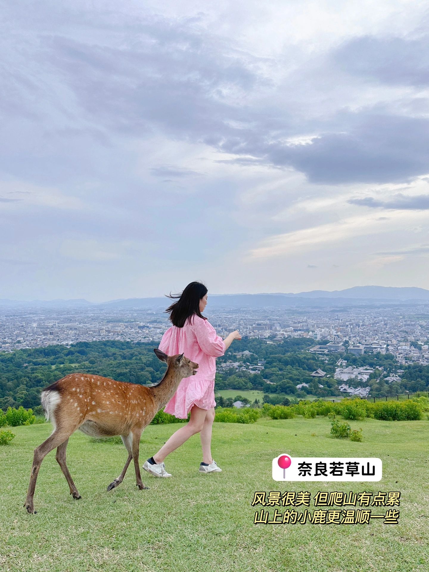 日本关西自由行注意事项,日本关西自由行详细攻略