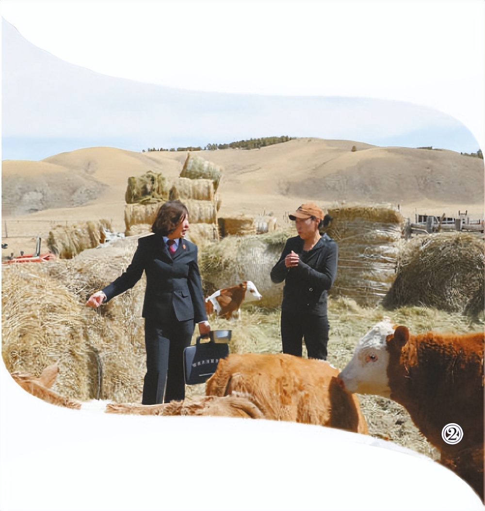 喜迎二十大新闻报道,党的二十大报告司法工作