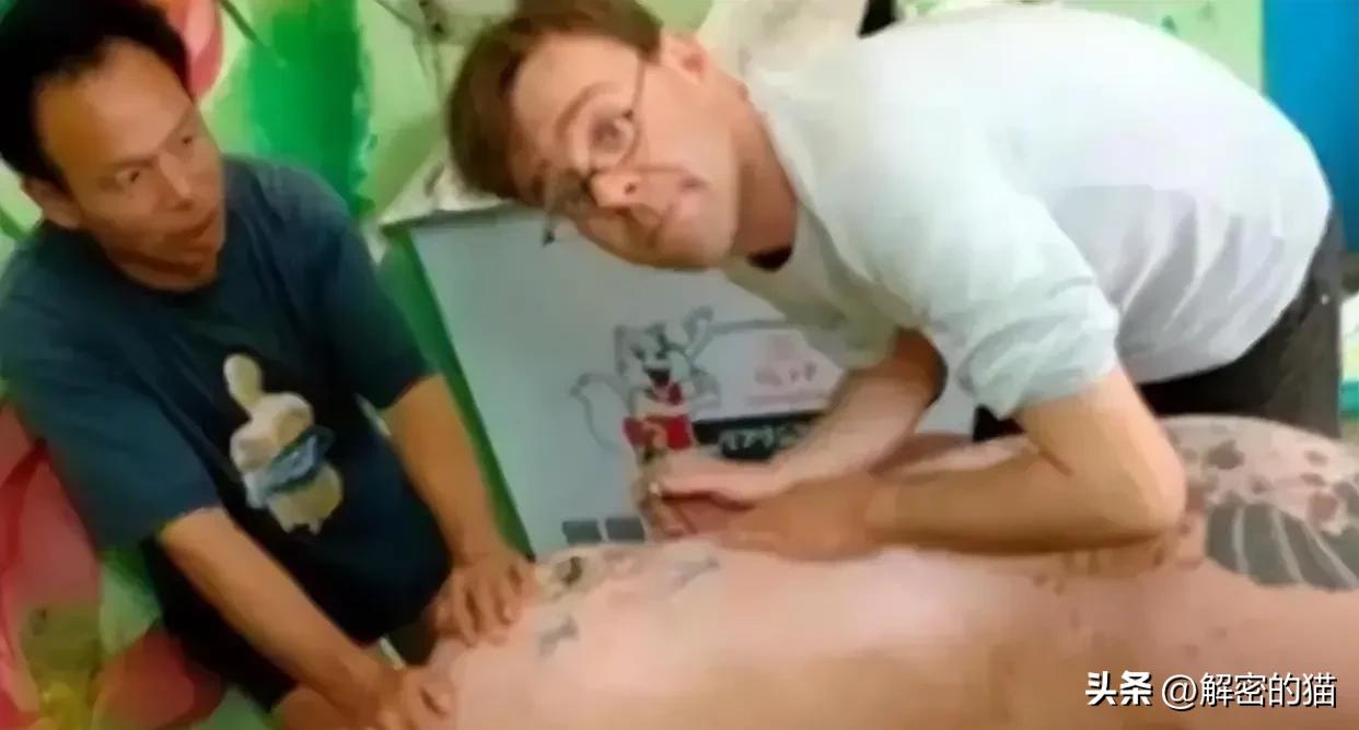 外国小伙给猪纹身,给猪纹身的男人