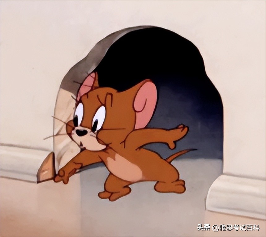 gre考前冲刺有哪些备考要点,gre冲刺