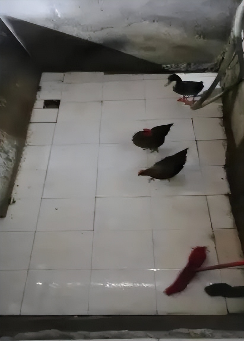 番禺｜点进来看，石壁街坊反映的这些烦心事得到有效处理啦