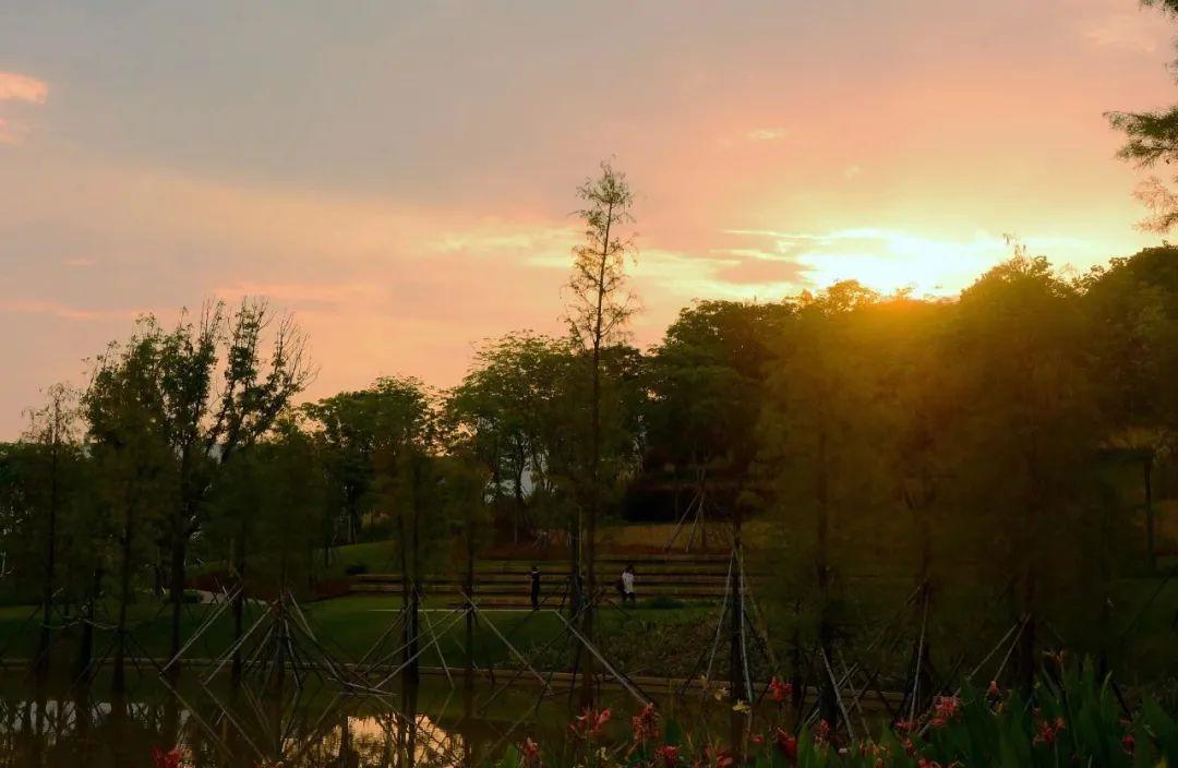 南方科技大学值得报名吗,南方科技大学到底值不值