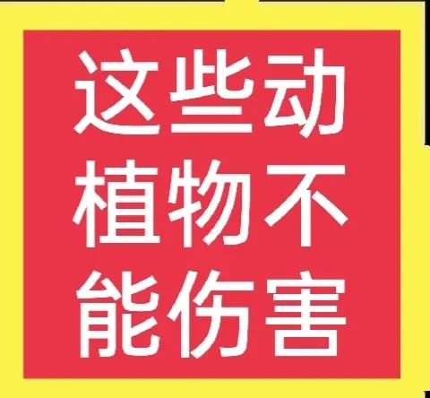 遇到珍稀动植物如何保护它们,保护动植物我们应该注意什么