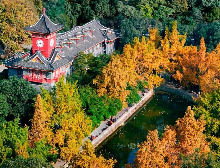 外伤脑出血治疗最新研究成果,脑出血全球顶级手术