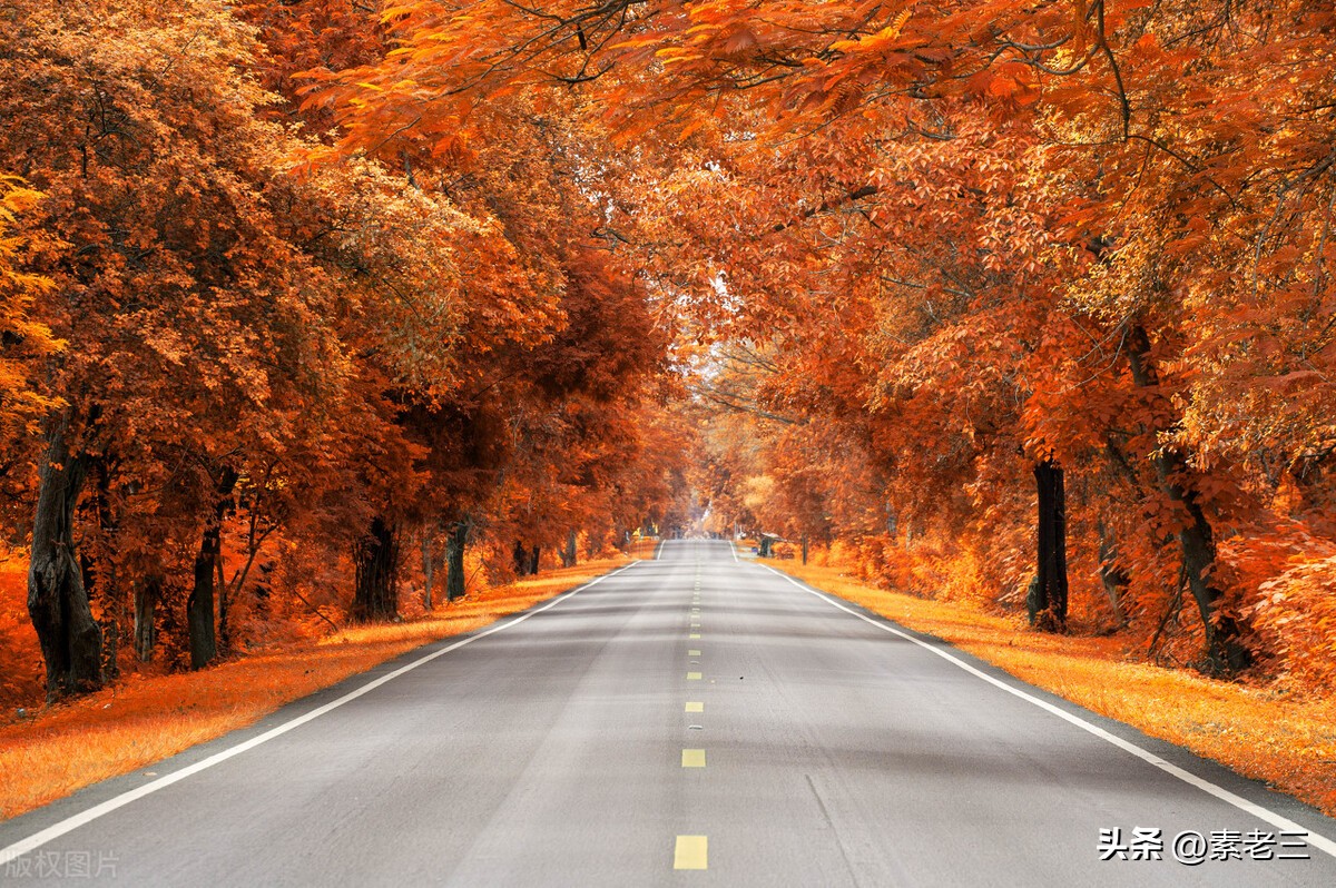 女作家去做保姆441集,女作家去做保姆最新篇441