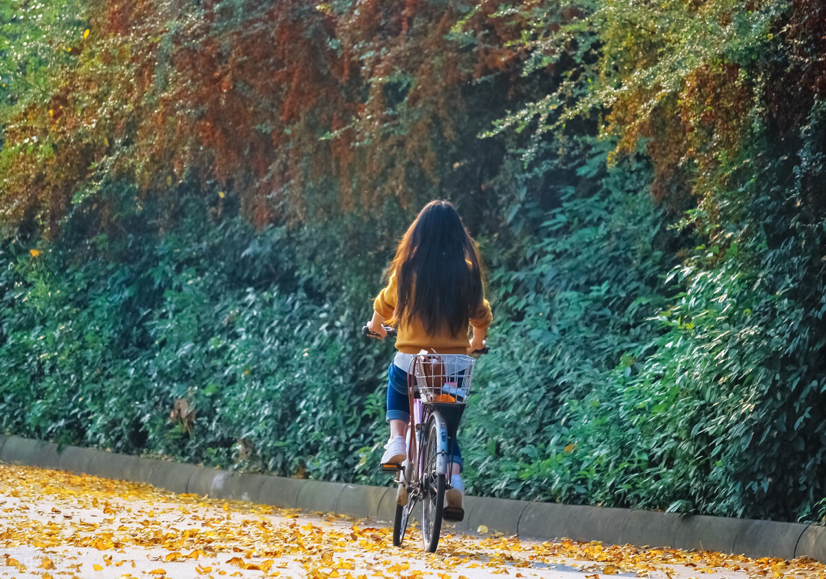 优雅形体礼仪气质提升培训,提升优雅气质的形体训练