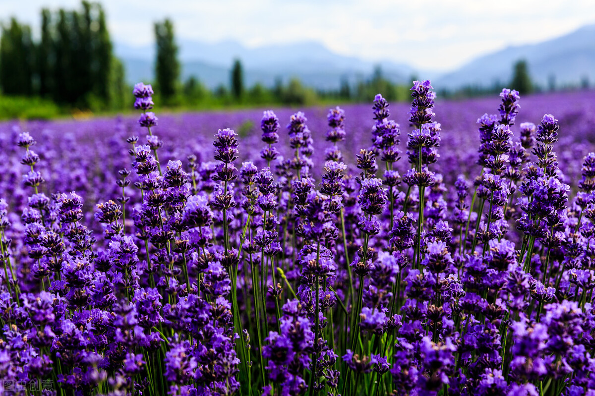 葡萄牙科普冷知识,葡萄牙是个神奇的国家