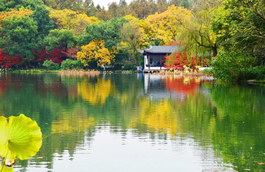 描写西湖秋天的古诗,西湖的秋天最美