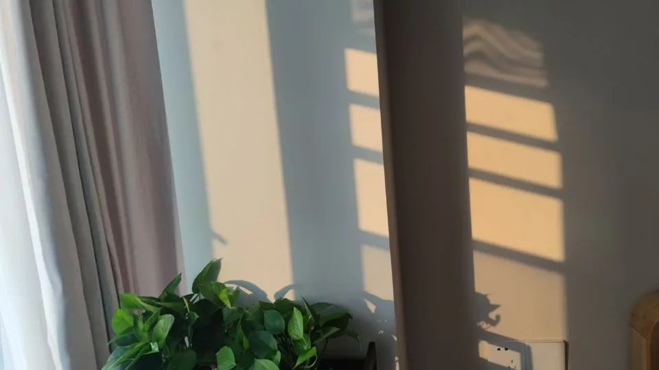 女生网购省钱技巧,女生一定要知道的网购省钱技巧