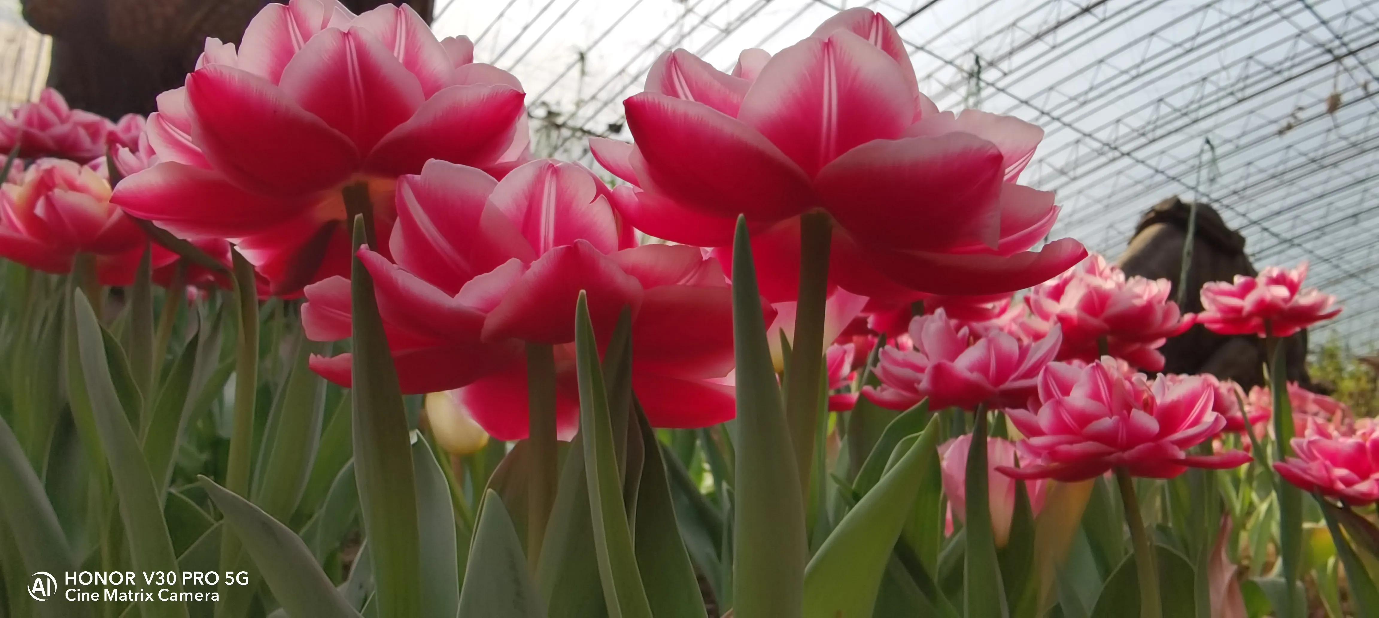 吹牛要交税多少,吹牛要不要交税