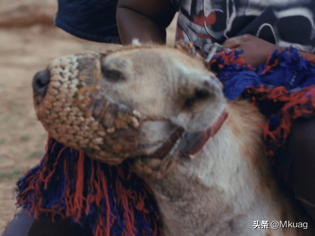 travisscott歌曲,travisscott堡垒之夜